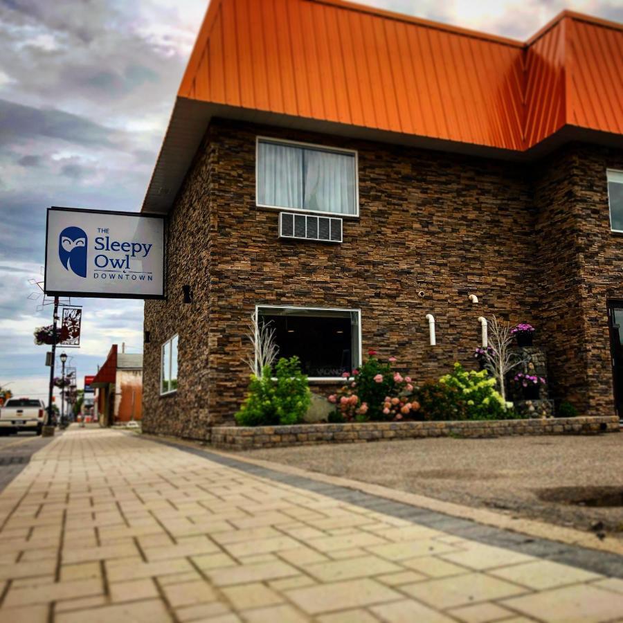Hotel The Sleepy Owl à Fort Frances Extérieur photo